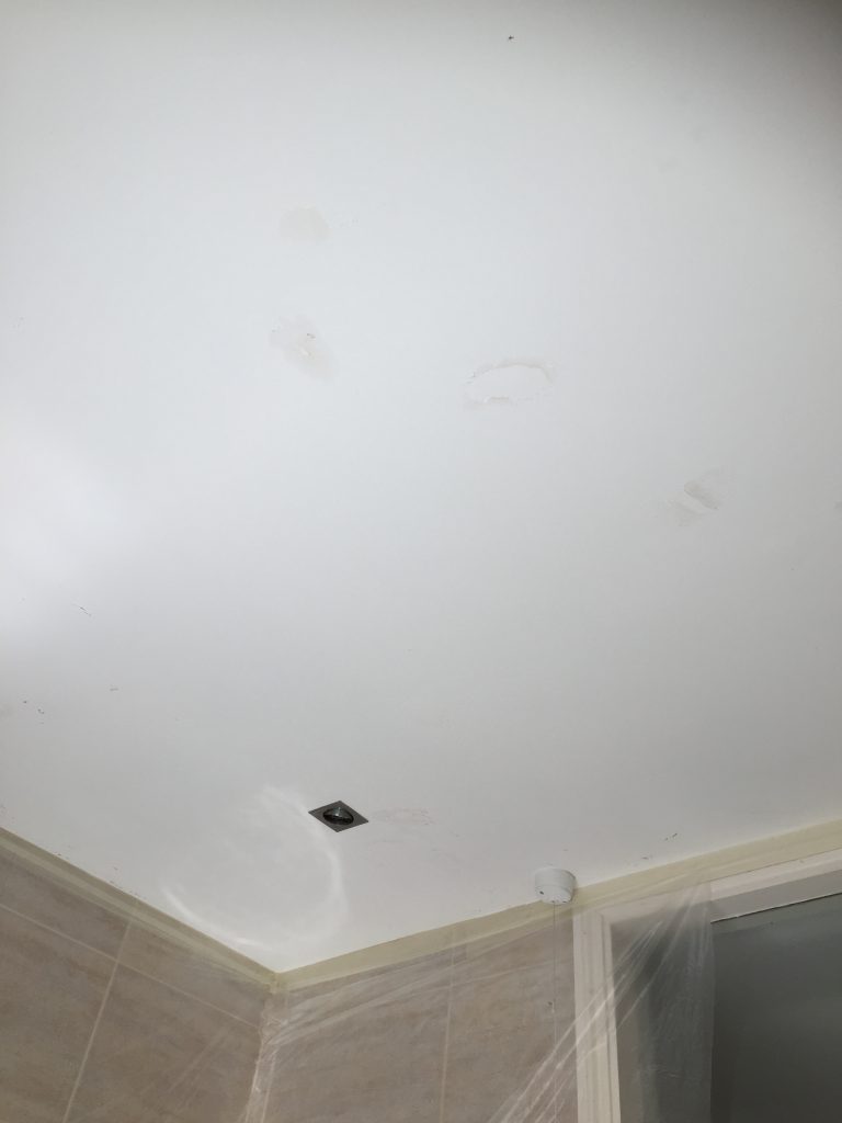 Damp Celling repainted with Perma White.